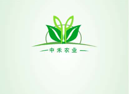 公司动态